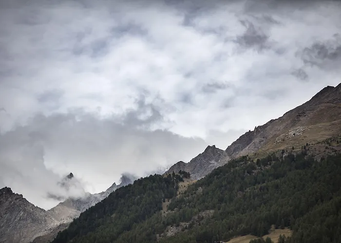 Continental Hotel 3*